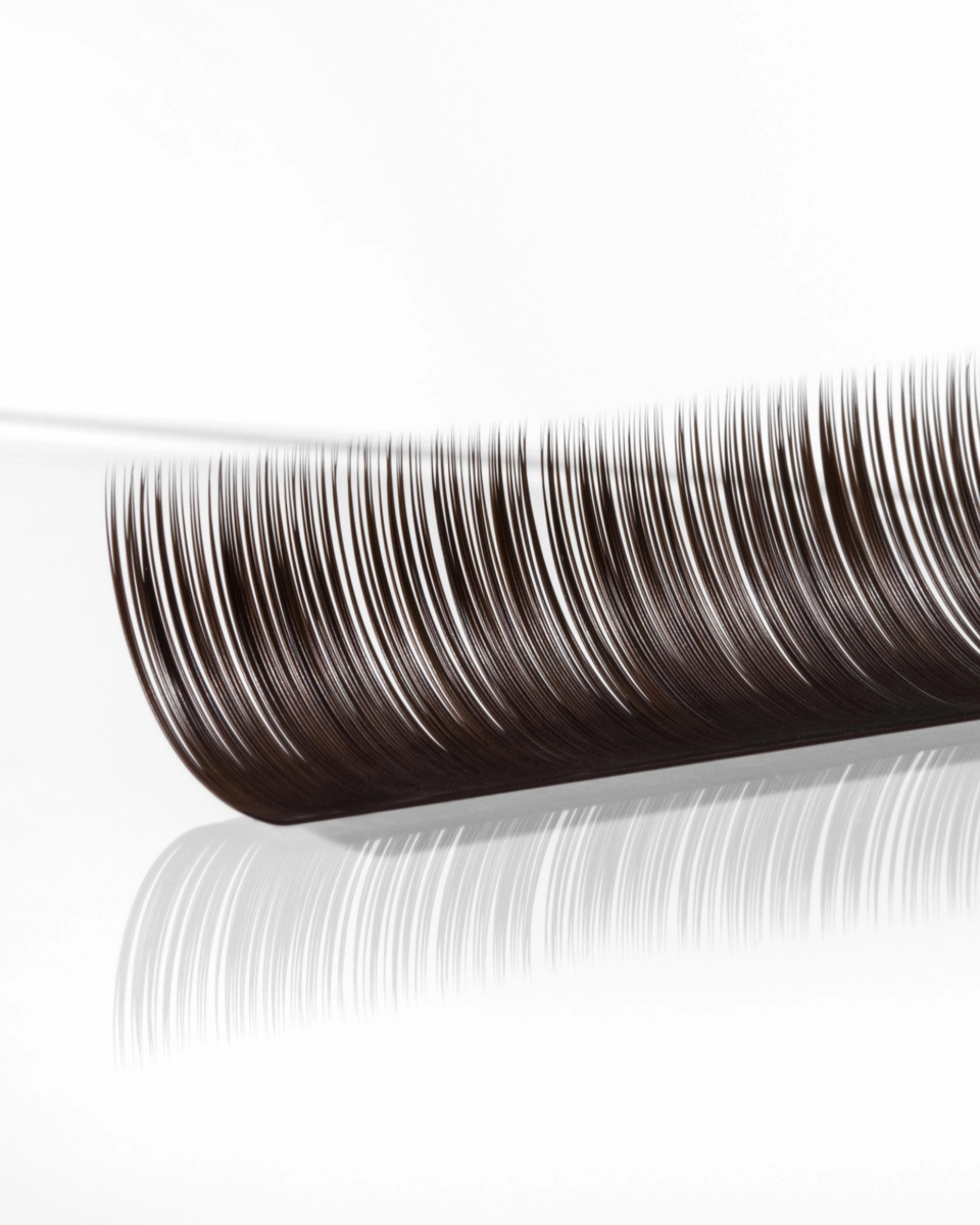 B-Curl Brunette EyeLash Extensions (Mixed Trays)